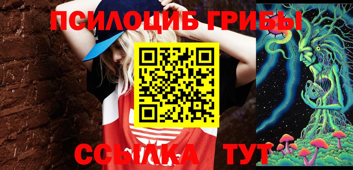 Псилоцибиновые грибы прущие грибы Семёнов